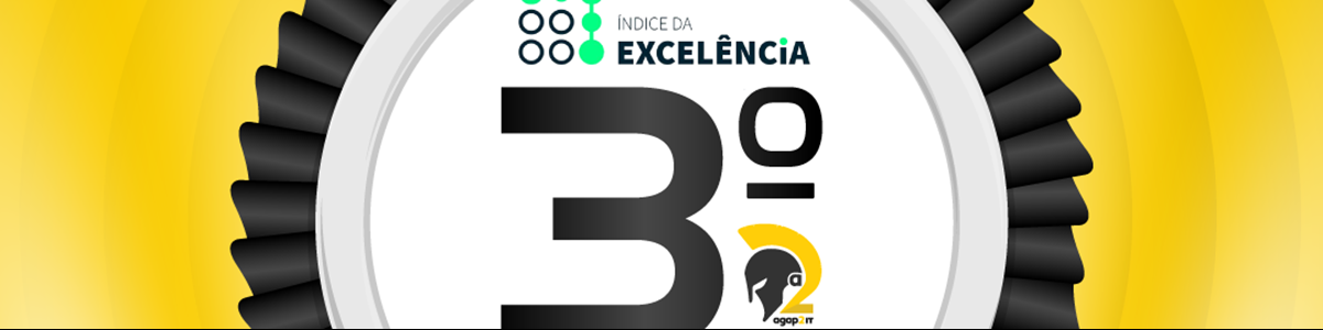 Third place in the Large Companies category of the Excellence Index