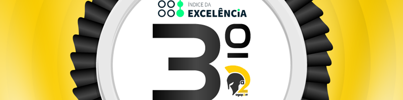 Third place in the Large Companies category of the Excellence Index